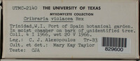 Image Associated With the Occurence